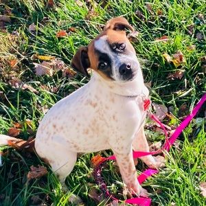 Meet your Posher, Leigh